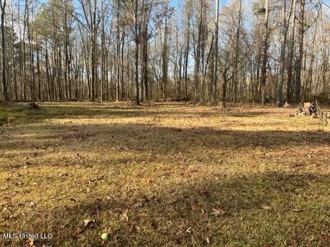 1665 Bill Strong Rd, Edwards, MS 39066 photo 36