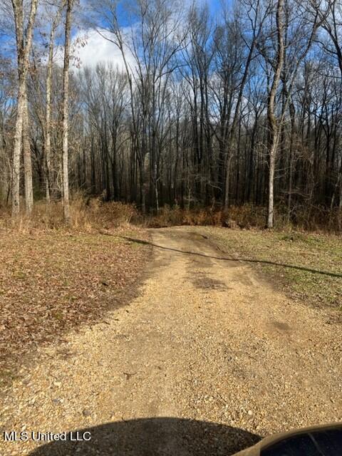 1665 Bill Strong Rd, Edwards, MS 39066 photo 34