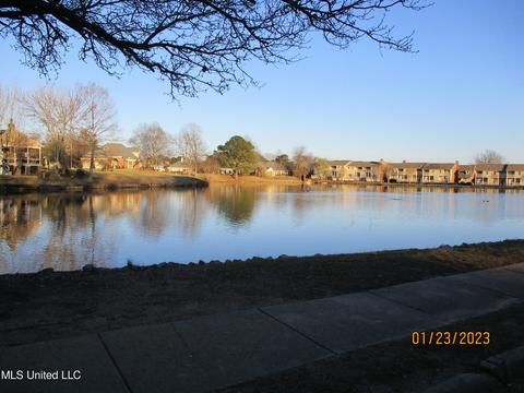 6243 Waterford Dr, Jackson, MS 39211 photo 6