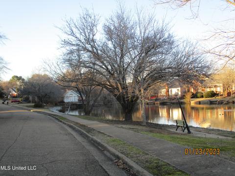 6243 Waterford Dr, Jackson, MS 39211 photo 4