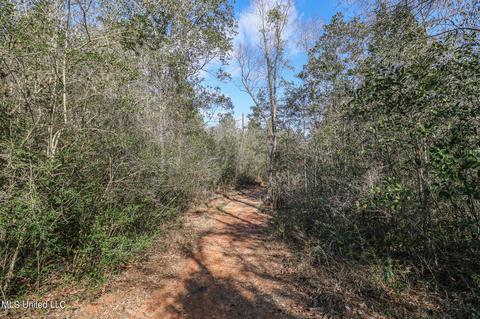 60 Carl Taylor Rd, Wiggins, MS 39577 photo 41