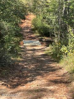 60 Carl Taylor Rd, Wiggins, MS 39577 photo 43
