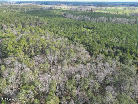 60 Carl Taylor Rd, Wiggins, MS 39577 photo 39