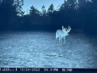 60 Carl Taylor Rd, Wiggins, MS 39577 photo 44