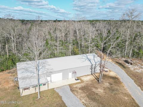 60 Carl Taylor Rd, Wiggins, MS 39577 photo 3
