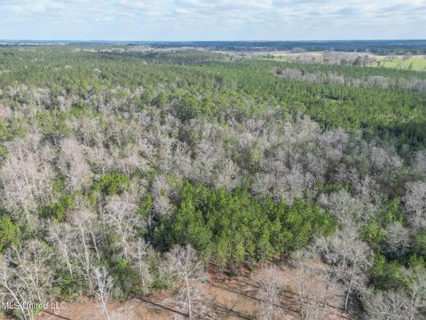 60 Carl Taylor Rd, Wiggins, MS 39577 photo 40