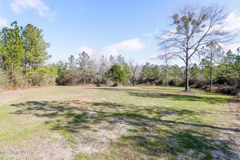 60 Carl Taylor Rd, Wiggins, MS 39577 photo 42