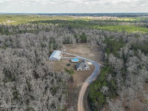 60 Carl Taylor Rd, Wiggins, MS 39577 photo 24