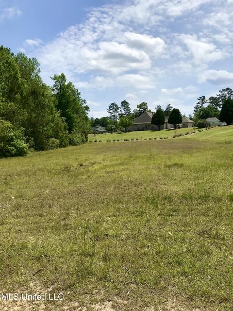 25 Mitchell Cove Cv, Carriere, MS 39426