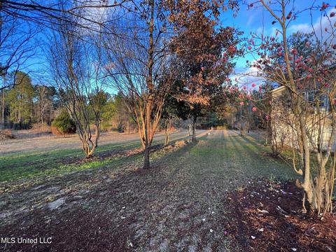 703 J C Nix Rd, Lucedale, MS 39452 photo 4