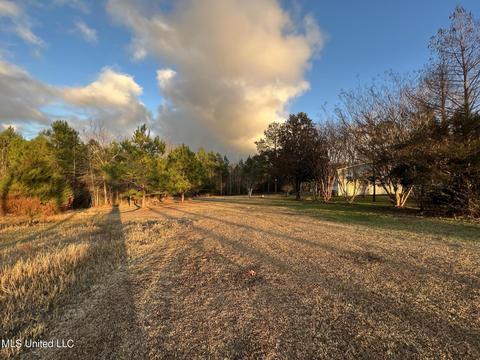 703 J C Nix Rd, Lucedale, MS 39452 photo 7