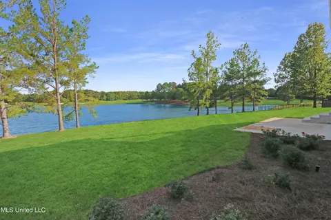 123 Fenwick Cir, Madison, MS 39110 photo 19