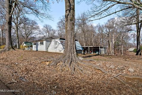 11694 Wren Dr, Hernando, MS 38632 photo 23