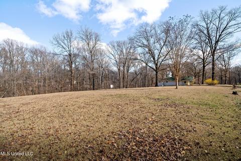 11694 Wren Dr, Hernando, MS 38632 photo 22
