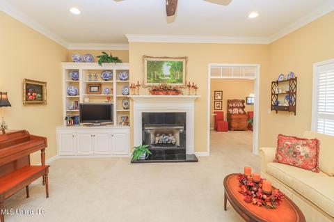 223 Terrace Dr, Brandon, MS 39042 photo 10