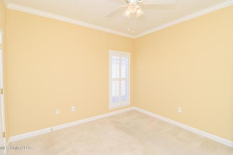 223 Terrace Dr, Brandon, MS 39042 photo 27
