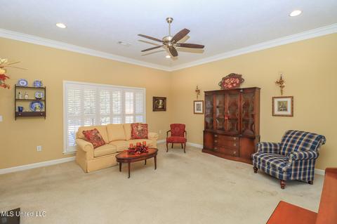 223 Terrace Dr, Brandon, MS 39042 photo 8