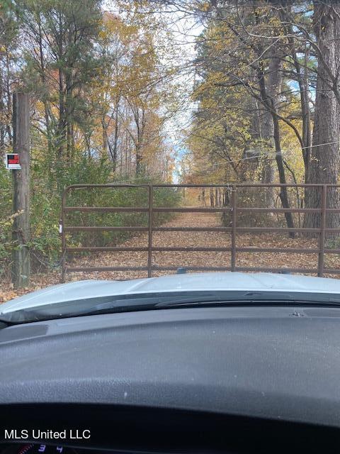 1444 Tanyard Rd, Hernando, MS 38632 photo 5