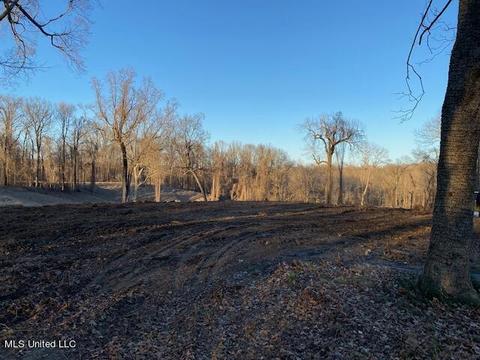 1444 Tanyard Rd, Hernando, MS 38632 photo 1