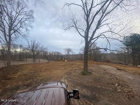 1444 Tanyard Rd, Hernando, MS 38632 photo 2