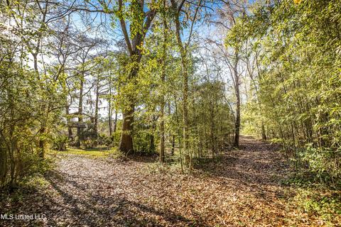 5219 Griffin St, Moss Point, MS 39563 photo 96
