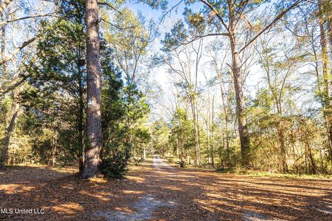 5219 Griffin St, Moss Point, MS 39563 photo 94