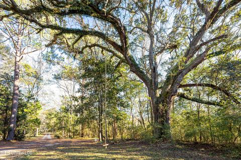 5219 Griffin St, Moss Point, MS 39563 photo 6