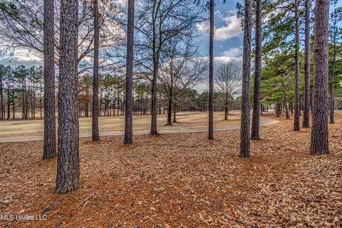 121 Edenberg Bnd, Madison, MS 39110 photo 56