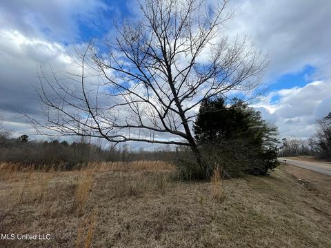Hwy 16 E, Canton, MS 39046 photo 2