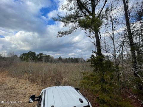 Hwy 16 E, Canton, MS 39046