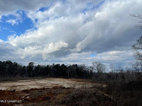 Hwy 16 E, Canton, MS 39046 photo 3