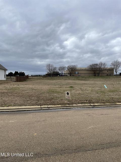 lot124 Genoa Dr, Madison, MS 39110 photo 2