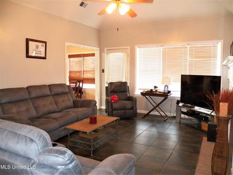 3355 Stone Meadow Cv, Nesbit, MS 38651 photo 2