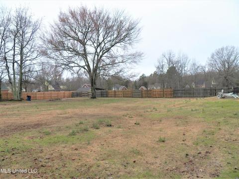 3355 Stone Meadow Cv, Nesbit, MS 38651 photo 20
