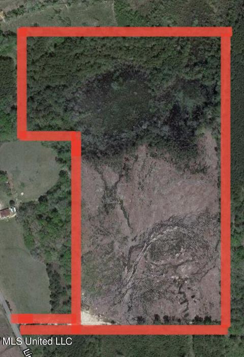 1091 Lindsay Rd, Lena, MS 39094