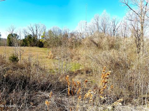 1510 Highway 22, Edwards, MS 39066 photo 2