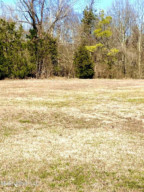1510 Highway 22, Edwards, MS 39066 photo 3