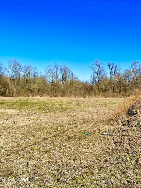 1510 Highway 22, Edwards, MS 39066 photo 4