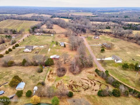 10990 Fox Glen Dr, Hernando, MS 38632 photo 39