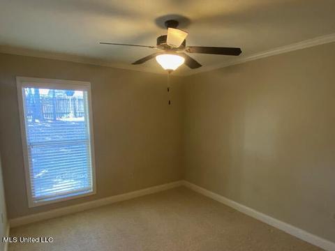205 Glensview Cv, Brandon, MS 39047 photo 33