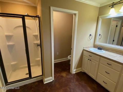 205 Glensview Cv, Brandon, MS 39047 photo 20