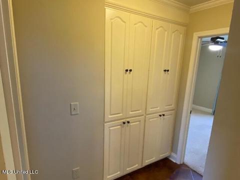 205 Glensview Cv, Brandon, MS 39047 photo 35