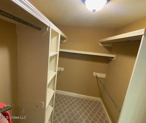 205 Glensview Cv, Brandon, MS 39047 photo 25