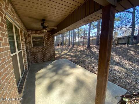 205 Glensview Cv, Brandon, MS 39047 photo 40