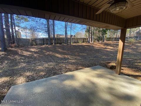 205 Glensview Cv, Brandon, MS 39047 photo 39