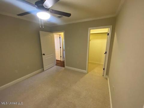 205 Glensview Cv, Brandon, MS 39047 photo 37