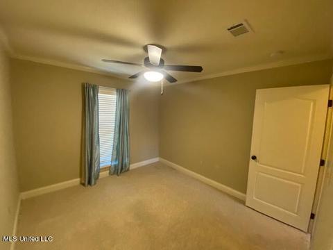 205 Glensview Cv, Brandon, MS 39047 photo 36