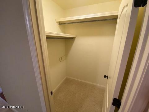 205 Glensview Cv, Brandon, MS 39047 photo 38