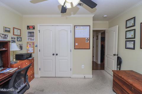 203 Glensview Cv, Brandon, MS 39047 photo 26