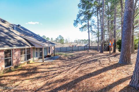 203 Glensview Cv, Brandon, MS 39047 photo 37